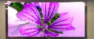 連鎖火鍋店老板哭訴：門頭LED廣告機讓我多賺了110萬，但千萬別學我踩這3個坑！”